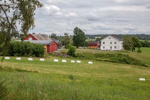 Frogner Østigarden Børke 210705.jpg