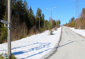 Frydenlundvegen Rollag 2016.jpg