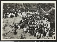 256. Fugleberg - no-nb digifoto 20151202 00014 blds 07726.jpg