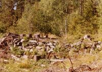 Fundamentet av pukkverket etter snauhogst i 1987. Foto: Arne Thorkildsen (1987). .