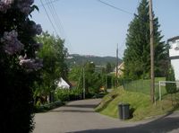 Furuset allè, midtre del. Foto fra 2008. Foto: Stig Rune Pedersen