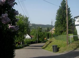 Furuset allè Oslo.jpg