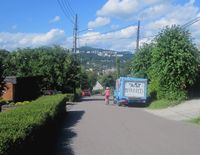 367. Furuset alle Oslo 2010.jpg