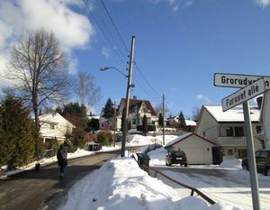 Furuset alle Oslo 2013.jpg