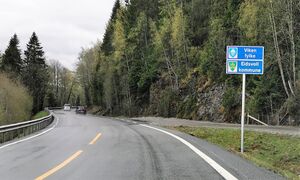 Fylkesgrense Viken Innlandet Feiring.jpg