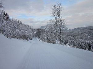 Fylkesvei 109 Numedal Buskerud 2012.jpg