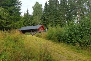 Gåsvika under Overud Kongsvinger.jpg