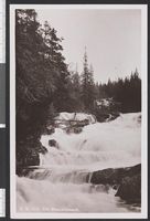 83. GB 1010 Fra Mesnafossene - no-nb digifoto 20150814 00023 bldsa PK25981.jpg