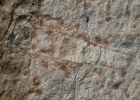 Detalj fra yttervegg: stein med avlangt fossil. Foto: Stig Rune Pedersen