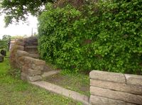 Eldre trappearrangement på Gamle Aker kirkegård som forbinder to nivåer. Foto: Stig Rune Pedersen