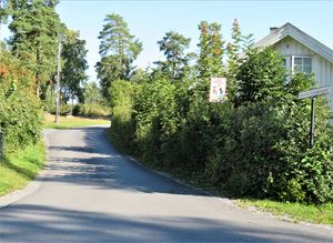 Gamle Konglungvei Asker 2020.JPG