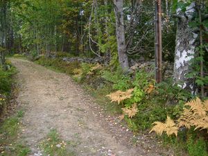 Gamle Sandsværvei (be-2003-09-03v).JPG