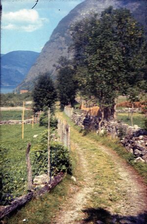 Gamlevegen på Høgheim.jpg