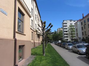 Gardeveien Oslo 2014.jpg