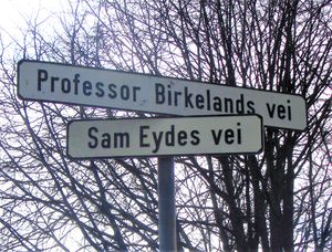 Gateskilt Eyde Birkeland Oslo.jpg