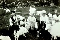 Rasmus S. Høydalsnes saman med dei to eldste gutane sine, Sivert og Morits. Folkekjære geiter vil og vera med.