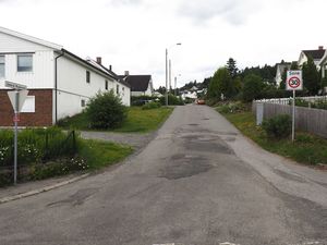 General Ruges veg.JPG