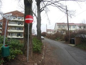 Geologsvingen Oslo 2014.jpg