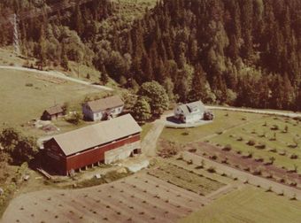 Gevelt gård , Hokksund - WF505.jpg