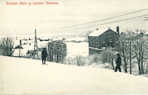 Gisledal møller.jpg