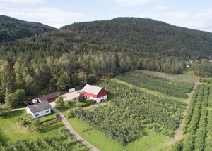 Gislerud (H Nilsen dronefoto - DJI 0071) 1.jpg