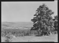 88. Gjøvik - no-nb digifoto 20151127 00040 NB MIT FNR 14017.jpg