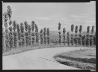 90. Gjøvik - no-nb digifoto 20151127 00044 NB MIT FNR 14015A.jpg