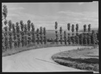 89. Gjøvik - no-nb digifoto 20151127 00114 NB MIT FNR 14015B.jpg