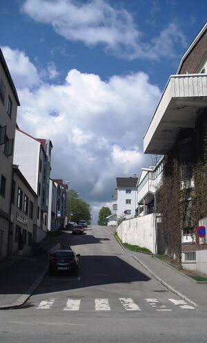 Gjøvik Bakkegata 2014.jpg