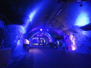 Gjøvik olympiske fjellhall inngangstunnel.jpg