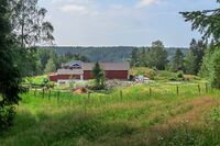 I østenden av Gjedsjøvannet ligger plassen Høybråten. Foto: Leif-Harald Ruud
