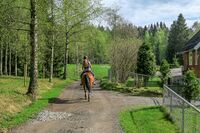 Fra Jørgenrud fører vei sørover i Gaupesteinmarka. Foto: Leif-Harald Ruud