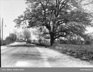 Gjelleråsen 1932 Wilse OB.Y3640.jpg