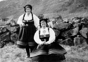 Gjerden 49b.jpg