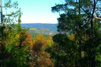 Gjerstad kirke sett fra Byholt/Haugeto.