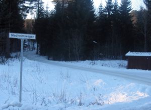 Gladheimsvegen Veggli 2014.jpg