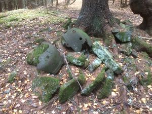 Denne gryta er det tydeligste sporet etter seterdrift på Glomsrudvollen.