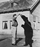 «Per» får godbit fra matfar