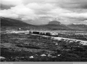 Godsekspressen Alnabru-Bodø.png
