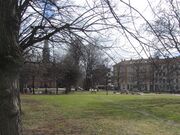 Gråbeinsletta Oslo 2012.jpg