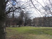 Gråbeinsletta på Sagene. Foto: Stig Rune Pedersen (2012)