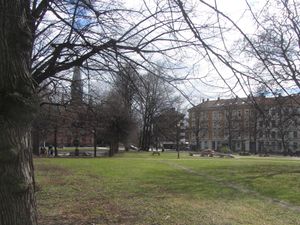 Gråbeinsletta Oslo 2012.jpg