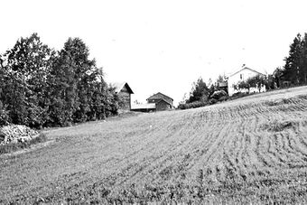 Græsberget østre Brandval Finnskog 1978.jpg