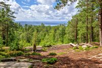 Utsikt fra Grønliåsen, Sørmarkas nordligste utstikker. Foto: Leif-Harald Ruud (2022)