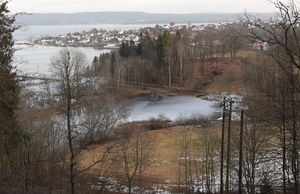 Graffdammen januar 2020 (N0010).JPG