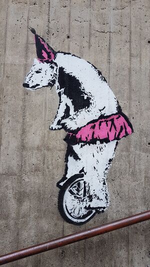 Graffiti syklende bjørn.jpeg