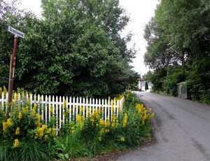 Granliveien Oslo 2015.JPG