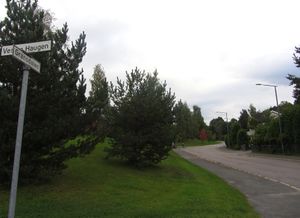 Gransdalen Oslo 2013.jpg