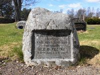 Ordfører Ole Festad