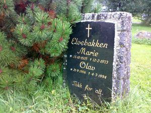 Grav Nordlia Elvebakken.jpg